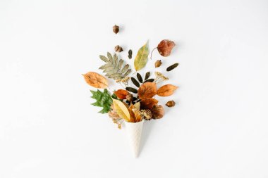 Gözleme koni ile kurutulmuş sonbahar yaprakları