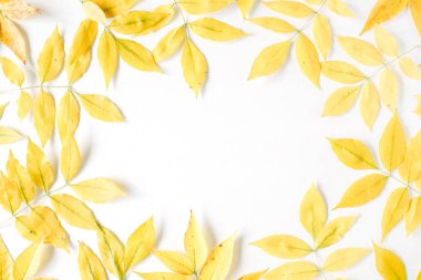 Sarı sonbahar sonbahar yaprakları