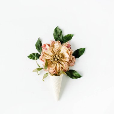 Gözleme koni ile kurutulmuş bej Şakayık