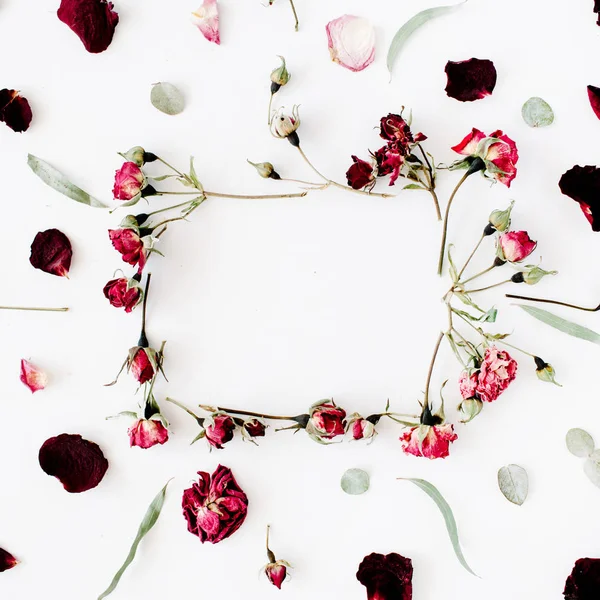 장미, 유 칼 리 나무, 가지, 잎 및 꽃잎 화 환 프레임 — 스톡 사진