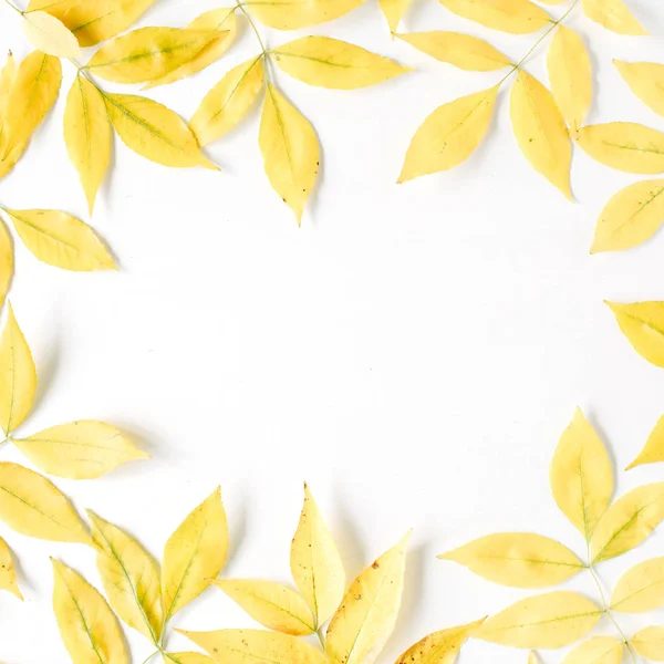 Κίτρινο φθινόπωρο το φθινόπωρο τα φύλλα — Φωτογραφία Αρχείου