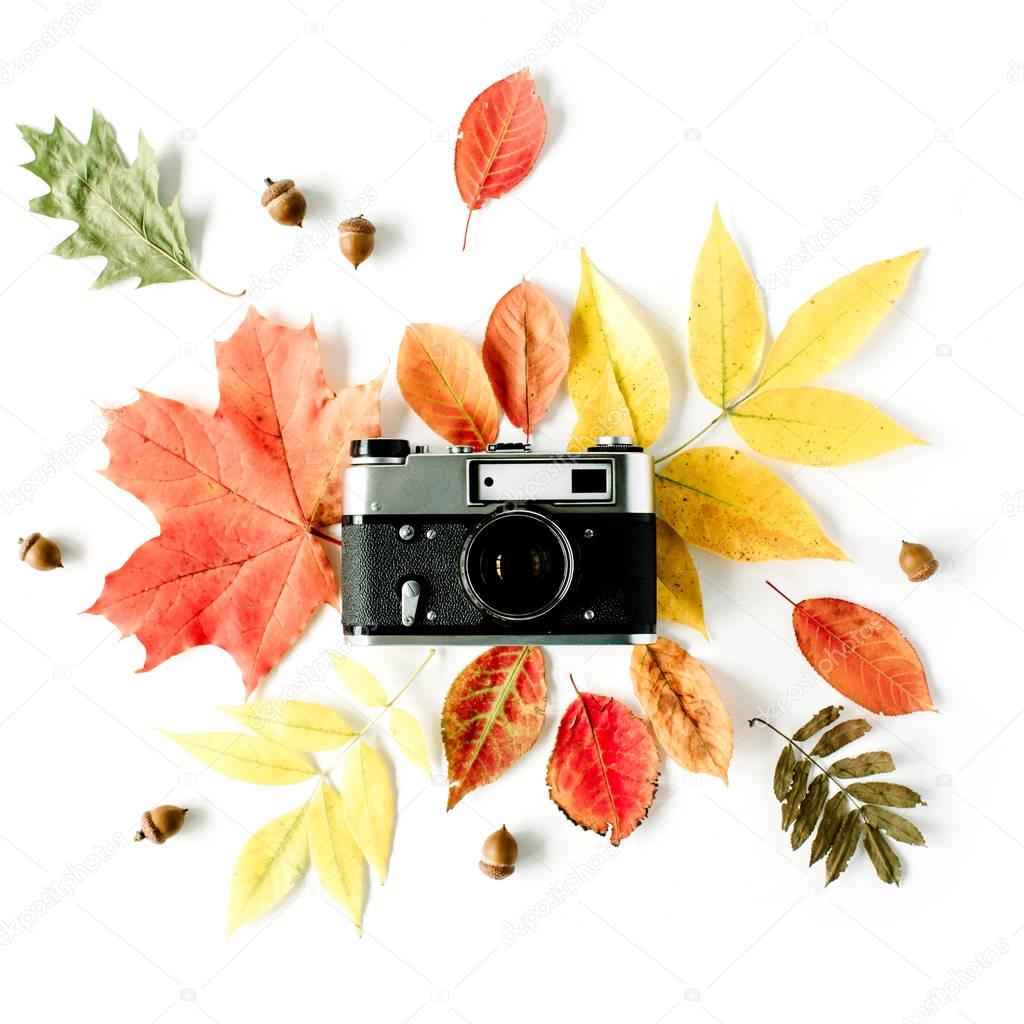 Vintage retro camera and autumn fall floral frame