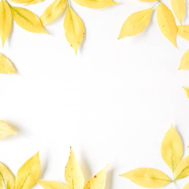 Sarı sonbahar sonbahar yaprakları