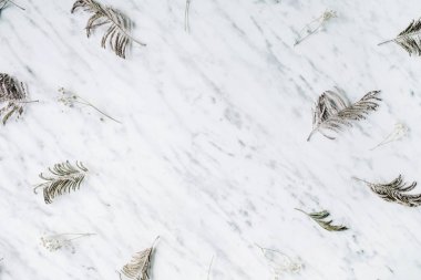 Mermer zemin üzerine dalları ile çerçeve