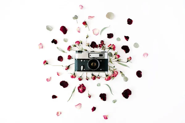 Retro Foto kamery, Růže červené a zelené listy — Stock fotografie