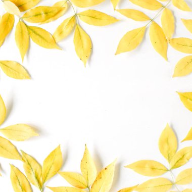 Trendy düz kompozisyon sonbahar yaprak lay