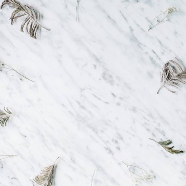 Mermer arka plan. Düz yatıyordu