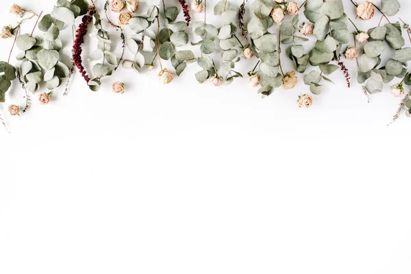 Trendy minimal floral composition — Stock Photo, Image