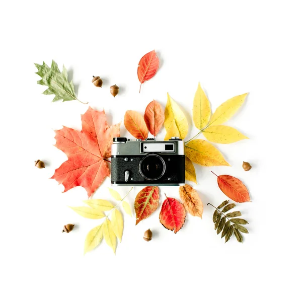 Compoziție plat la modă cu frunze de toamnă — Fotografie, imagine de stoc