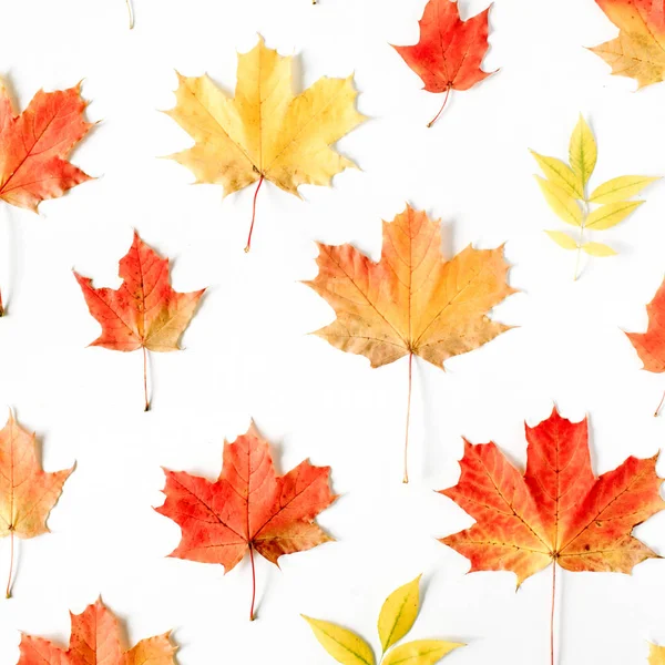 Модна плоска композиція з осіннім листям — стокове фото
