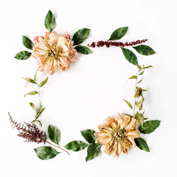 Frumoasă compoziție florală plată — Fotografie, imagine de stoc