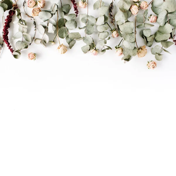 Větví eukalyptu a růžové růže poupata — Stock fotografie