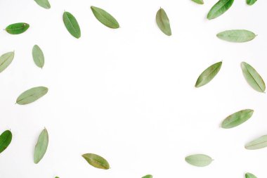 çerçeve üzerinde beyaz izole yeşil yaprakları ile
