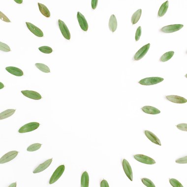 çerçeve üzerinde beyaz izole yeşil yaprakları ile