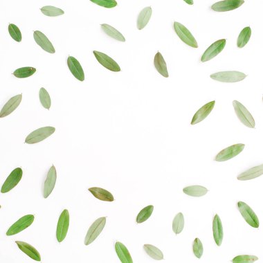 çerçeve yeşil yaprakları ile