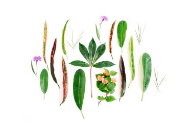 Kırmızı ve yeşil yaprağı deseni