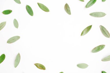 çerçeve yeşil yaprakları ile