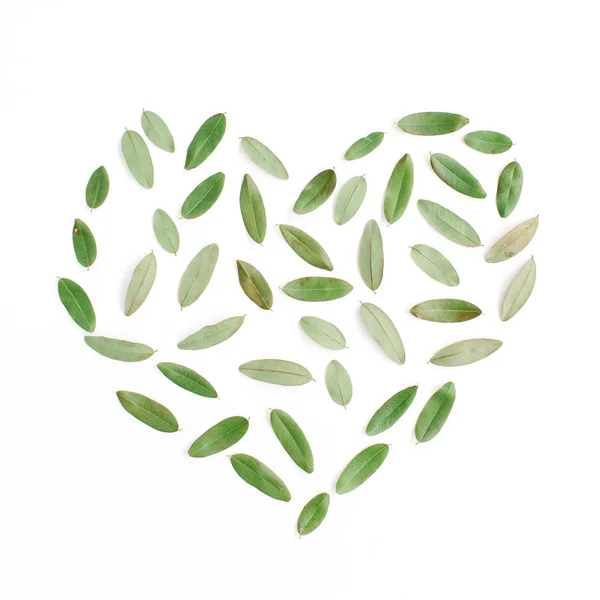 Símbolo del corazón hecho de pétalos verdes — Foto de Stock