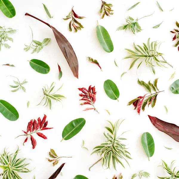 Patrón de pétalos y hojas rojas y verdes — Foto de Stock