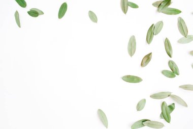 çerçeve yeşil yaprakları ile