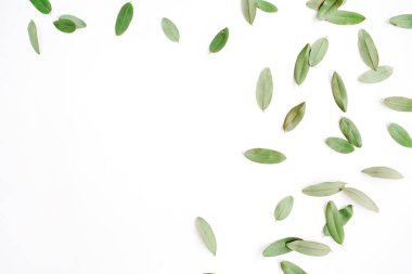 çerçeve yeşil yaprakları ile