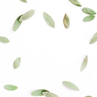 çerçeve yeşil yaprakları ile