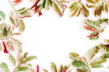 Kırmızı ve yeşil yaprak çerçeve