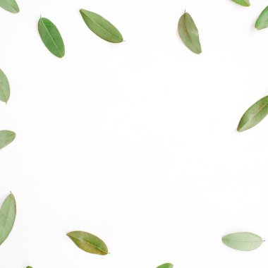 çerçeve yeşil yaprakları ile 