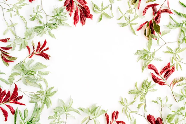 Rahmen aus roten und grünen Blättern — Stockfoto