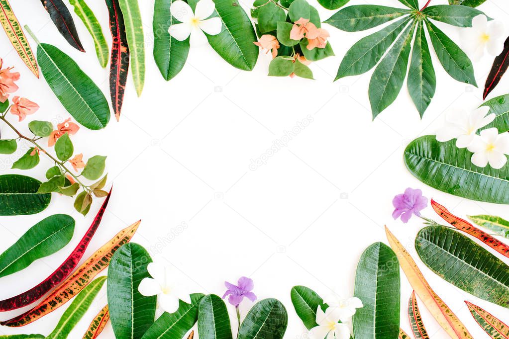 topical exotic colored leaves frame 
