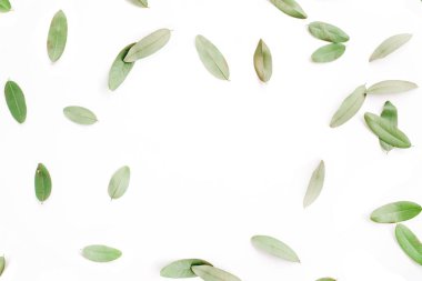 çerçeve yeşil yaprakları ile 