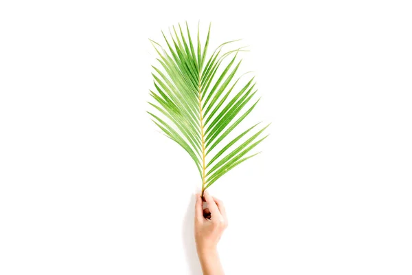Belo ramo de palma na mão da menina — Fotografia de Stock