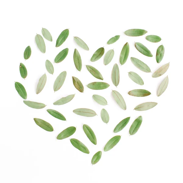 Símbolo del corazón hecho de hojas verdes — Foto de Stock