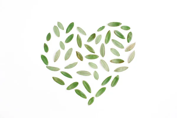 Símbolo del corazón hecho de hojas verdes — Foto de Stock