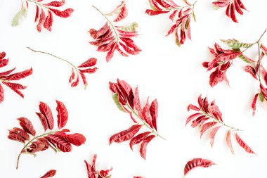 Kırmızı dallar desen 