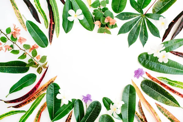 egzotik renkli yaprakları