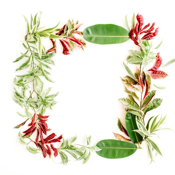 Red and green petals and leaves frame — Stock Photo, Image