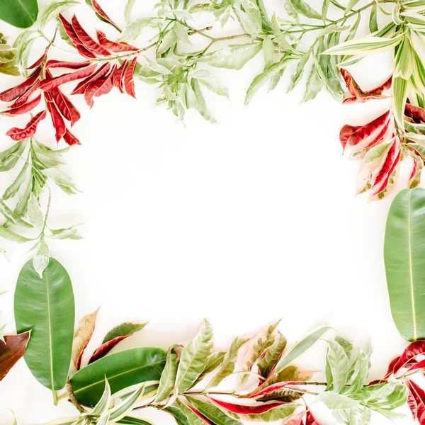 红色和绿色的花瓣和叶子框架 — 图库照片