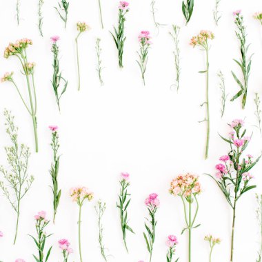 Çerçeve ile renkli kır çiçekleri, yeşil yaprakları, dalları