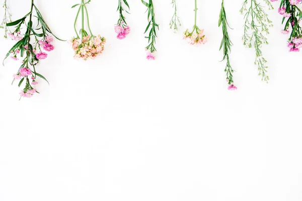 Colorful wildflowers on white background.