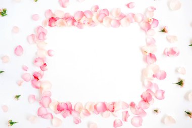 Pembe gül yaprakları çerçeve yaptı