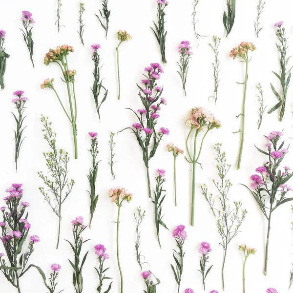 粉色和米色野花与花卉图案 — 图库照片