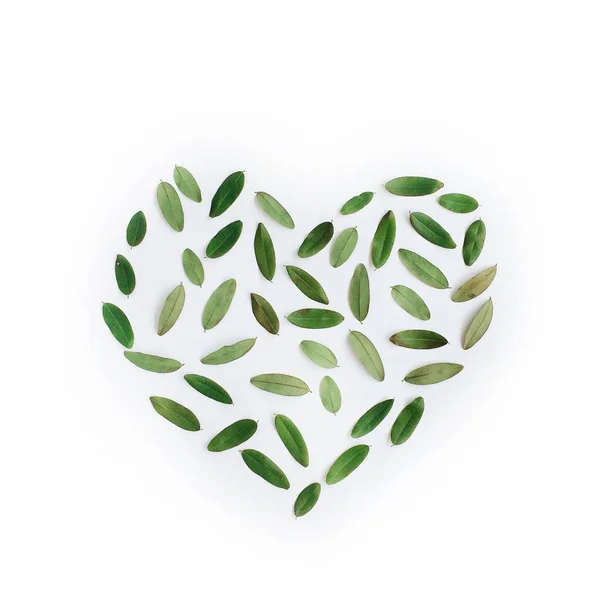 心符号制成的绿色的树叶 — 图库照片
