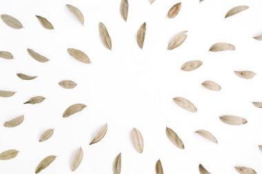 Kahverengi kurutulmuş yaprakları yapılmış yuvarlak çerçeve