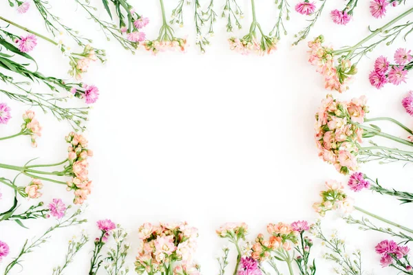 Verschiedene Wildblumenrahmen — Stockfoto
