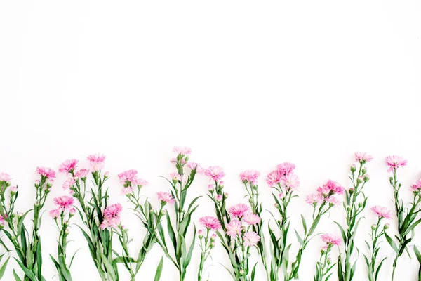 白地にピンクの野の花 — ストック写真