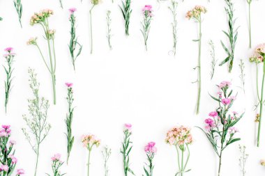 Çerçeve ile renkli kır çiçekleri, yeşil yaprakları, dalları