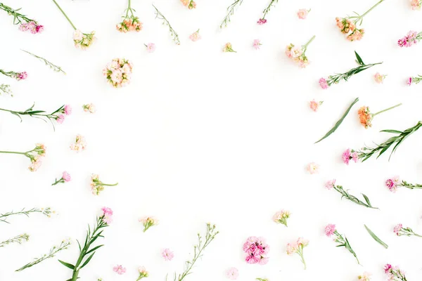 Rahmen mit rosa und beige Wildblumen, grünen Blättern, Ästen — Stockfoto