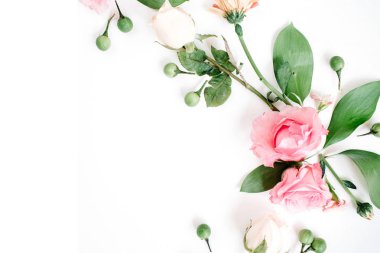 Beyaz arkaplanda pembe güller