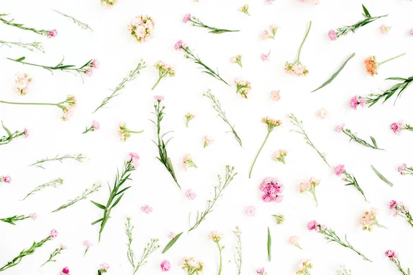 Motif floral avec fleurs sauvages roses et beiges — Photo